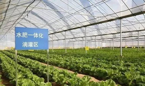 1656467229353895.jpg 02.jpg